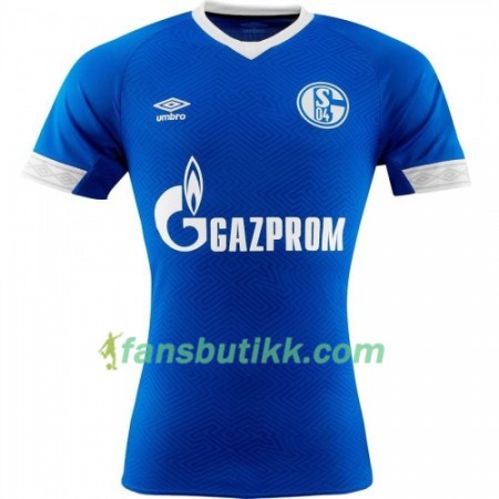 Fotballdrakt FC Schalke 04 Hjemmetrøye 2018-2019 Kortermet